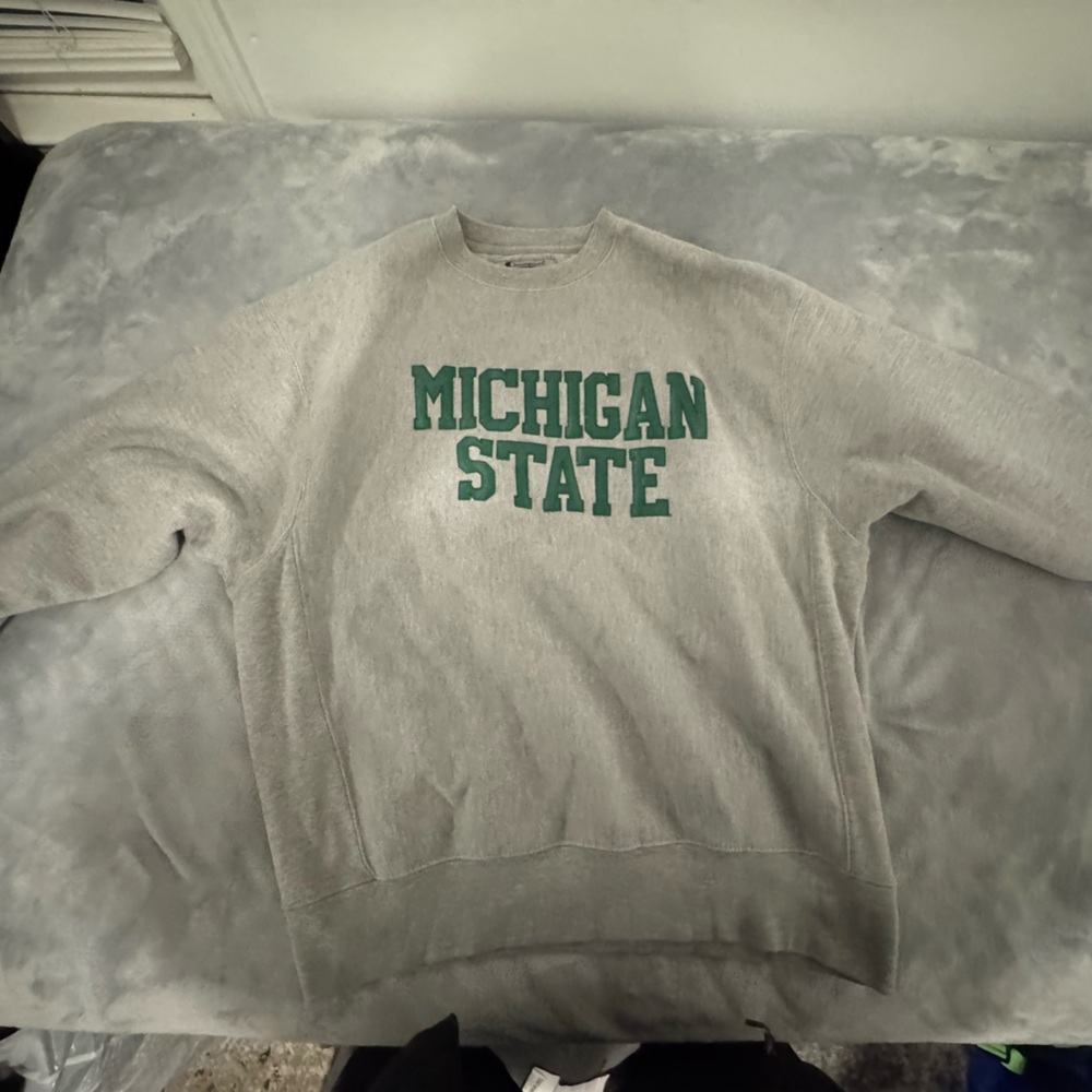 Champion Gray and Green Men's Sweater
